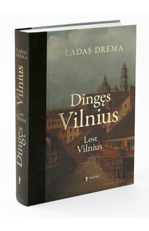 DINGĘS VILNIUS